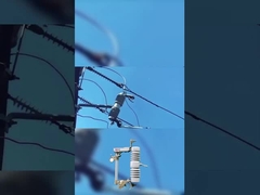 Dispositivos de proteção de alta qualidade, cortados de poliéster ou de cerâmica de 40,5 kv